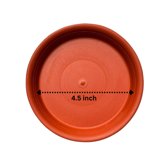 NG-00480-4-Red